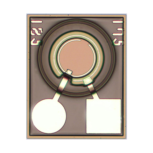 10G PD 850nm